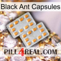 Black Ant Capsules cialis4